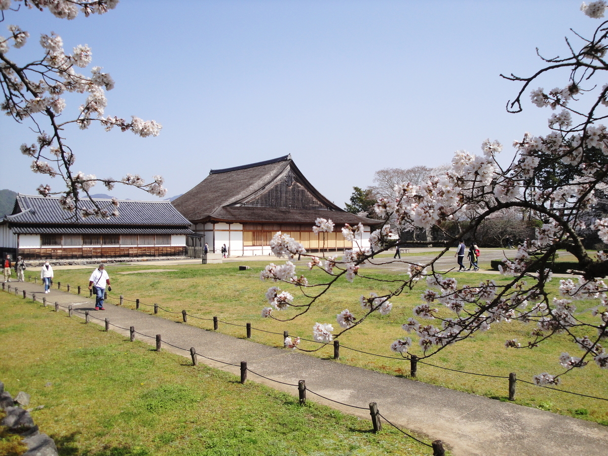 f:id:kameKiKu:20210329191725j:plain