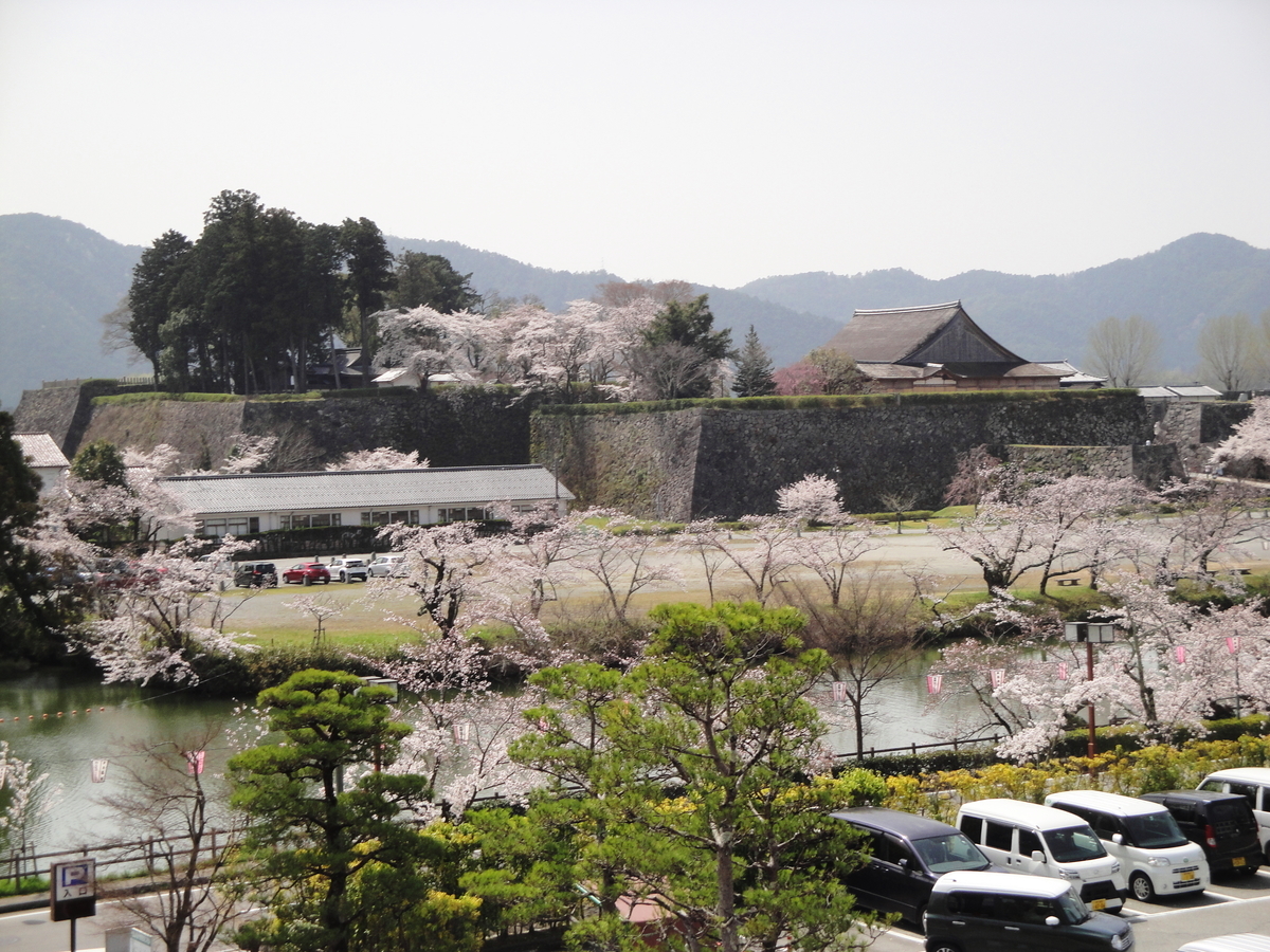 f:id:kameKiKu:20210329195003j:plain
