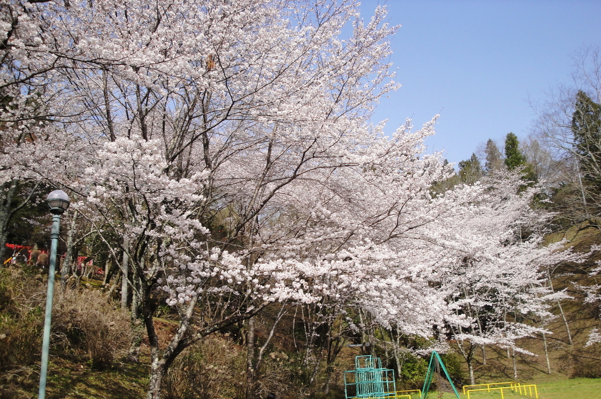 f:id:kameKiKu:20210329202701j:plain