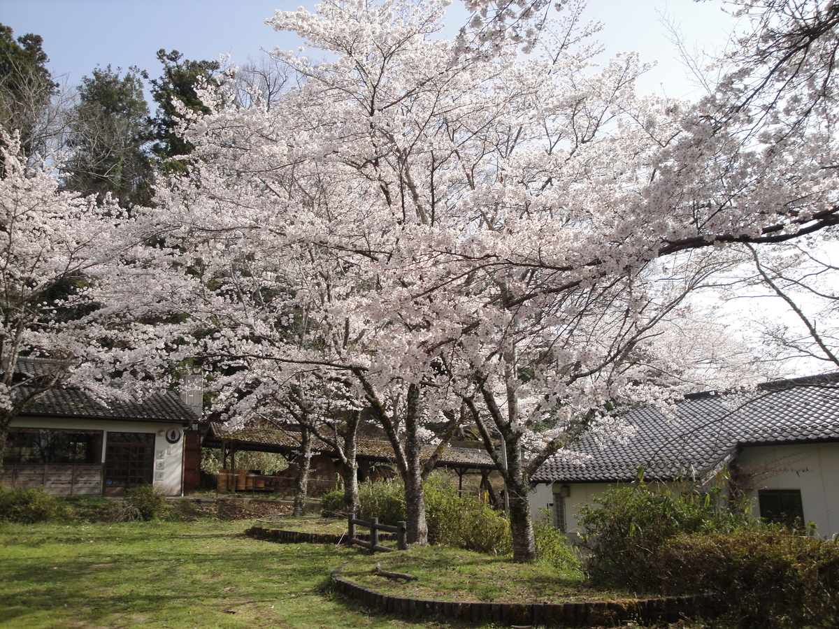 f:id:kameKiKu:20210329202803j:plain