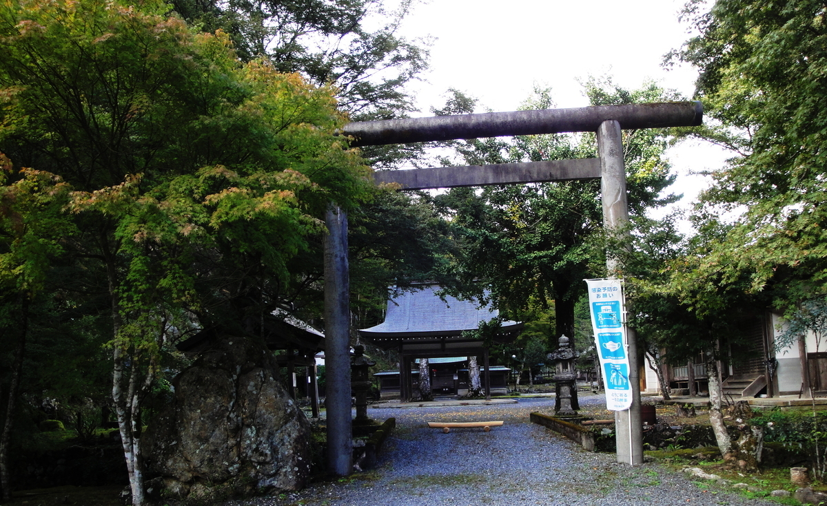 f:id:kameKiKu:20211020191720j:plain