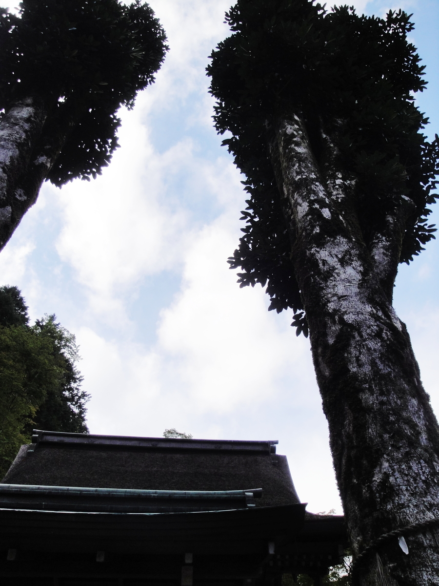 f:id:kameKiKu:20211020192528j:plain
