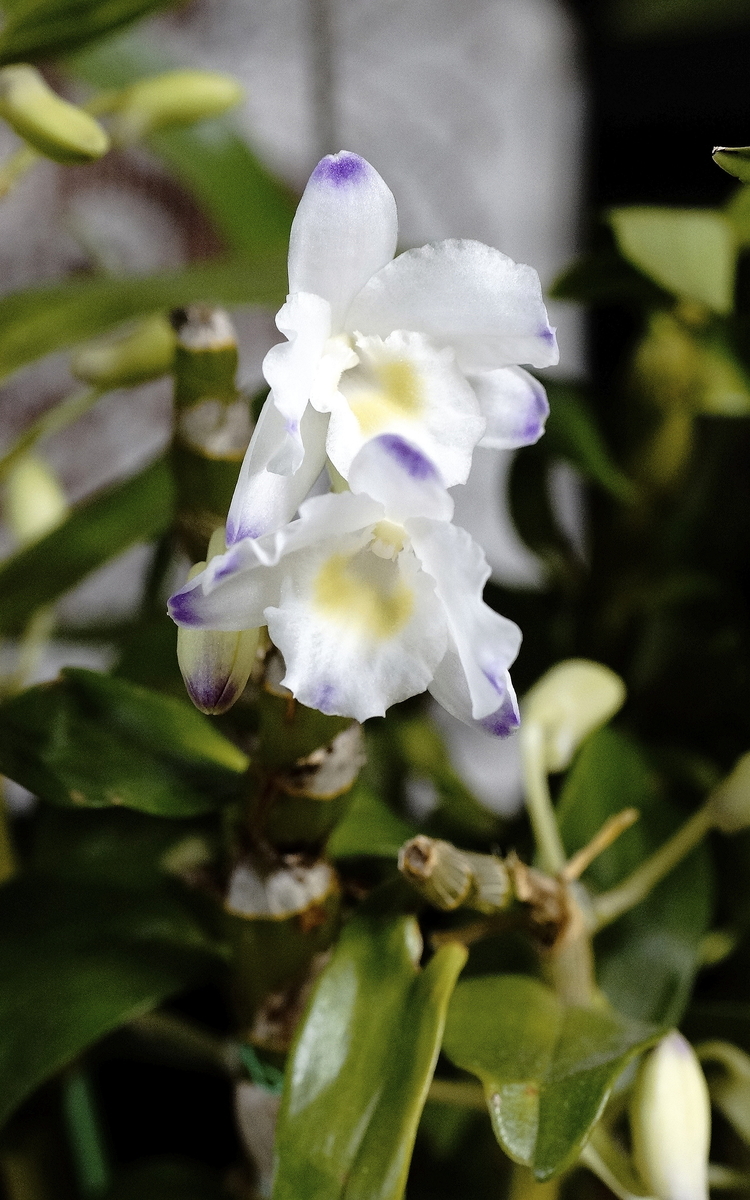f:id:kameKiKu:20220112103031j:plain