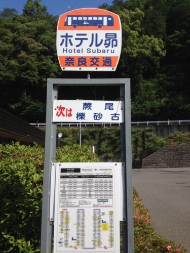 f:id:kamearuki:20180702215709j