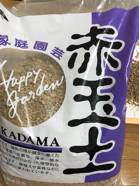 f:id:kamebiyori:20190822171839j:plain