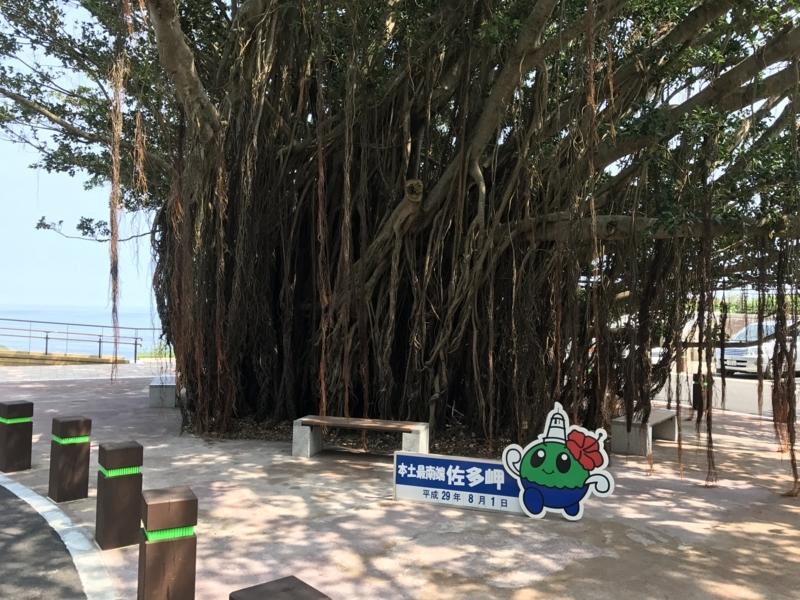 f:id:kamei2910:20170801143721j:image f:id:kamei2910:20170801143721j:image