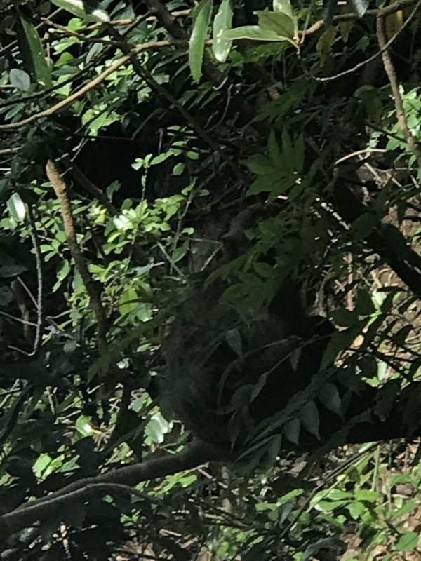 f:id:kamei2910:20170801145947j:image f:id:kamei2910:20170801145947j:image