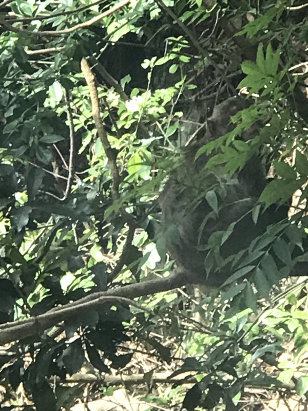 f:id:kamei2910:20170801145953j:image f:id:kamei2910:20170801145953j:image