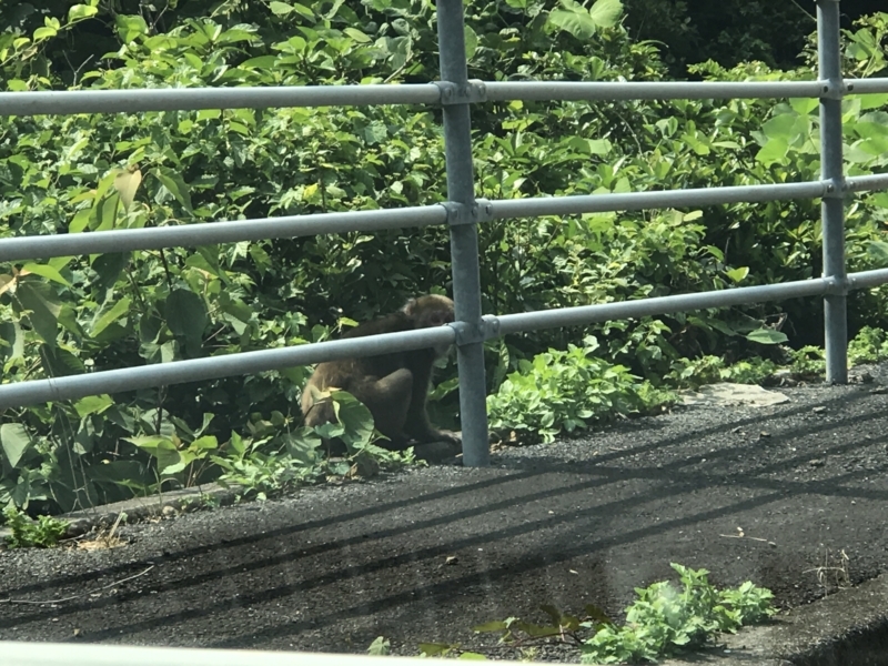 f:id:kamei2910:20170801150047j:image f:id:kamei2910:20170801150047j:image