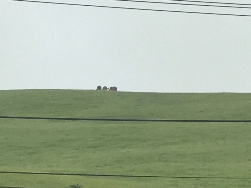 f:id:kamei2910:20170801183332j:image f:id:kamei2910:20170801183332j:image