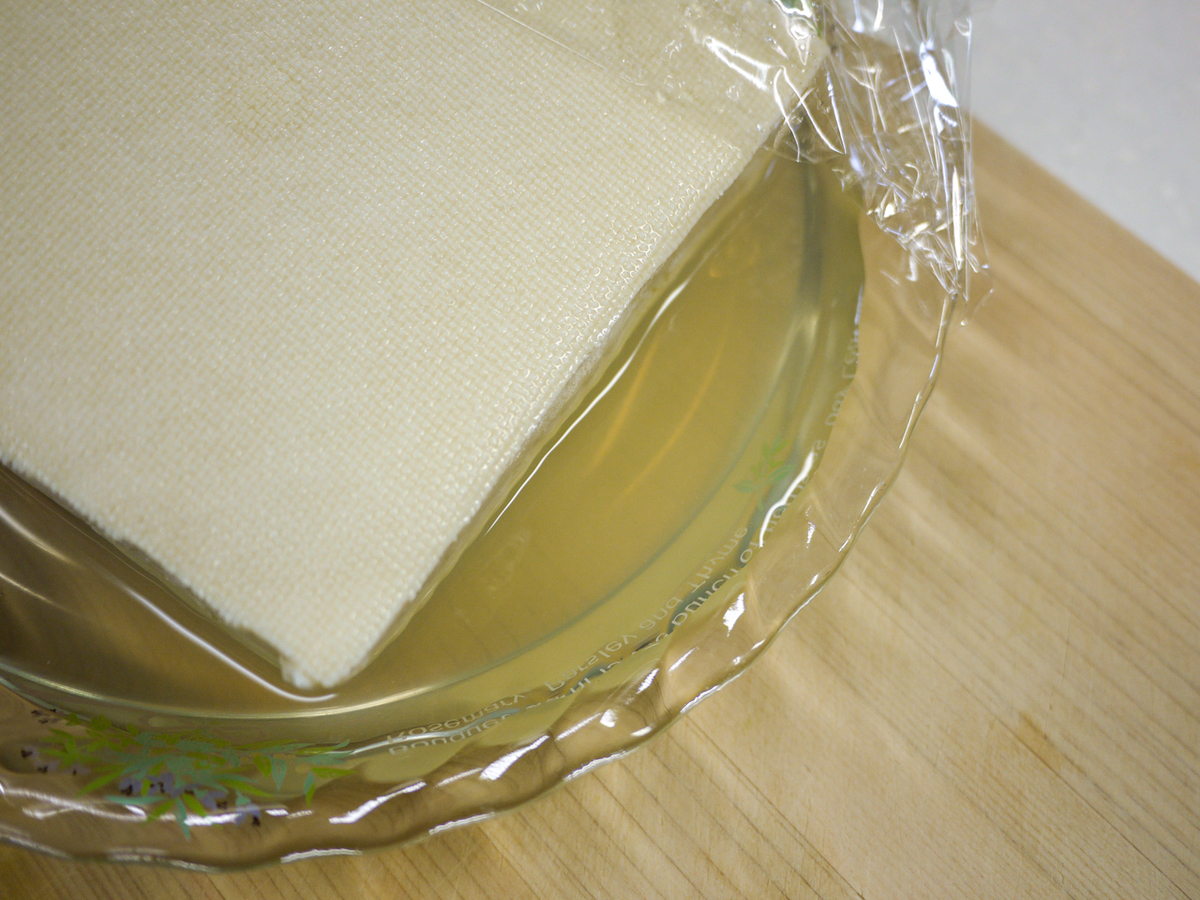 f:id:kamekichipapa:20191114181347j:plain