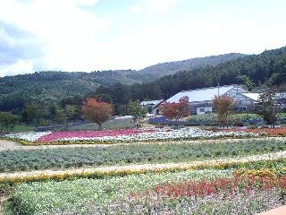f:id:kamekiti1103:20080903095731j:image f:id:kamekiti1103:20080903095731j:image