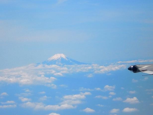 f:id:kamekiti1103:20110604111323j:image f:id:kamekiti1103:20110604111323j:image