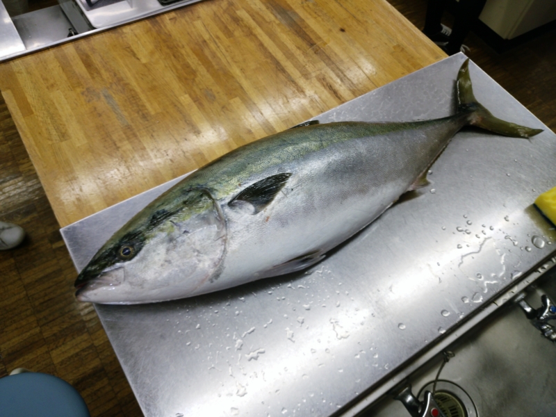 f:id:kamekoopa:20151219183837j:image