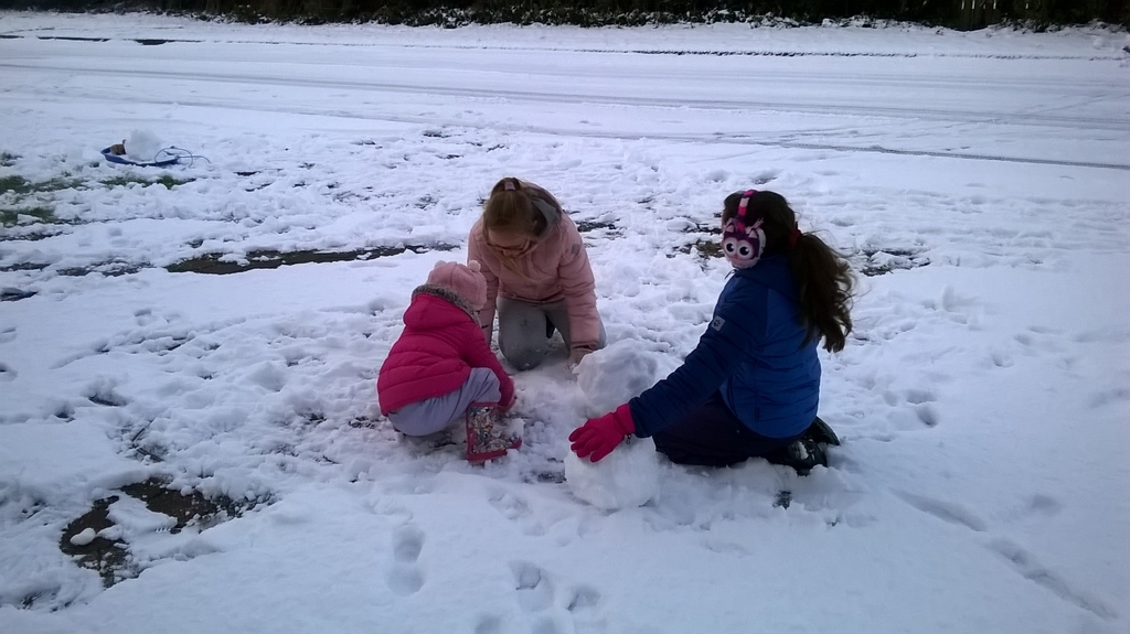 f:id:kamemari:20190117231240j:plain