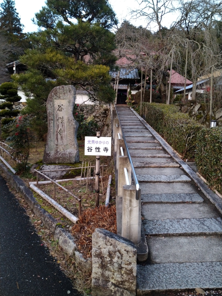 f:id:kamemarugo:20200106183835j:plain f:id:kamemarugo:20200106183835j:plain