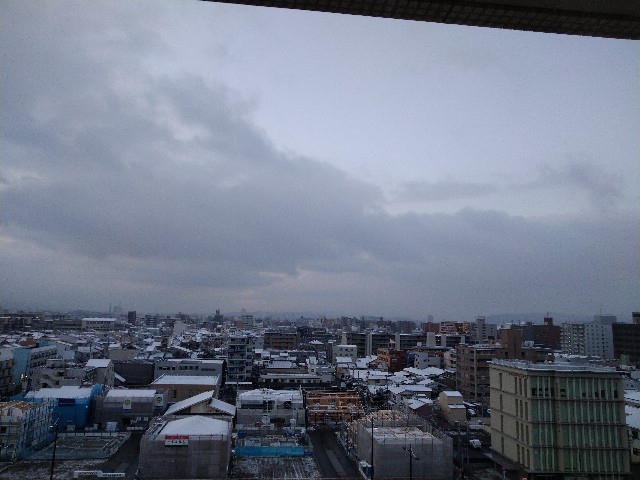 f:id:kamemarugo:20200218064543j:image