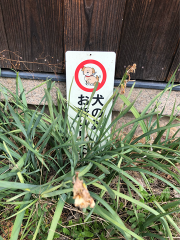 岡山市のしっぽ微ふり犬看板 京都ぬるぬるブログ2 0
