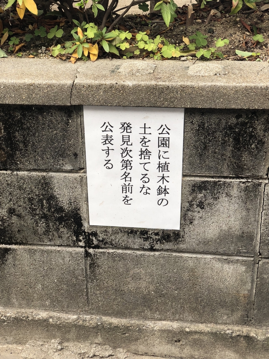 f:id:kamemochi:20200117002228j:plain