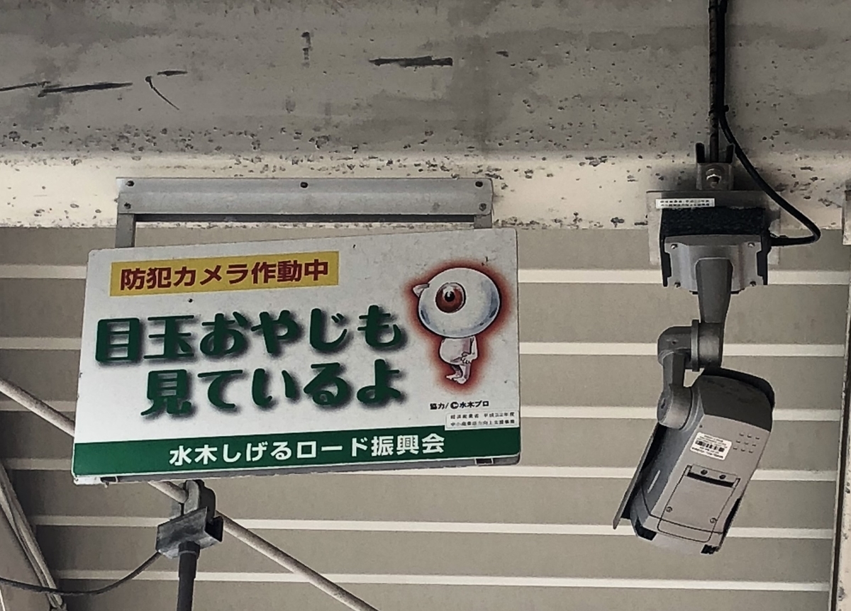 f:id:kamemochi:20200123111903j:plain