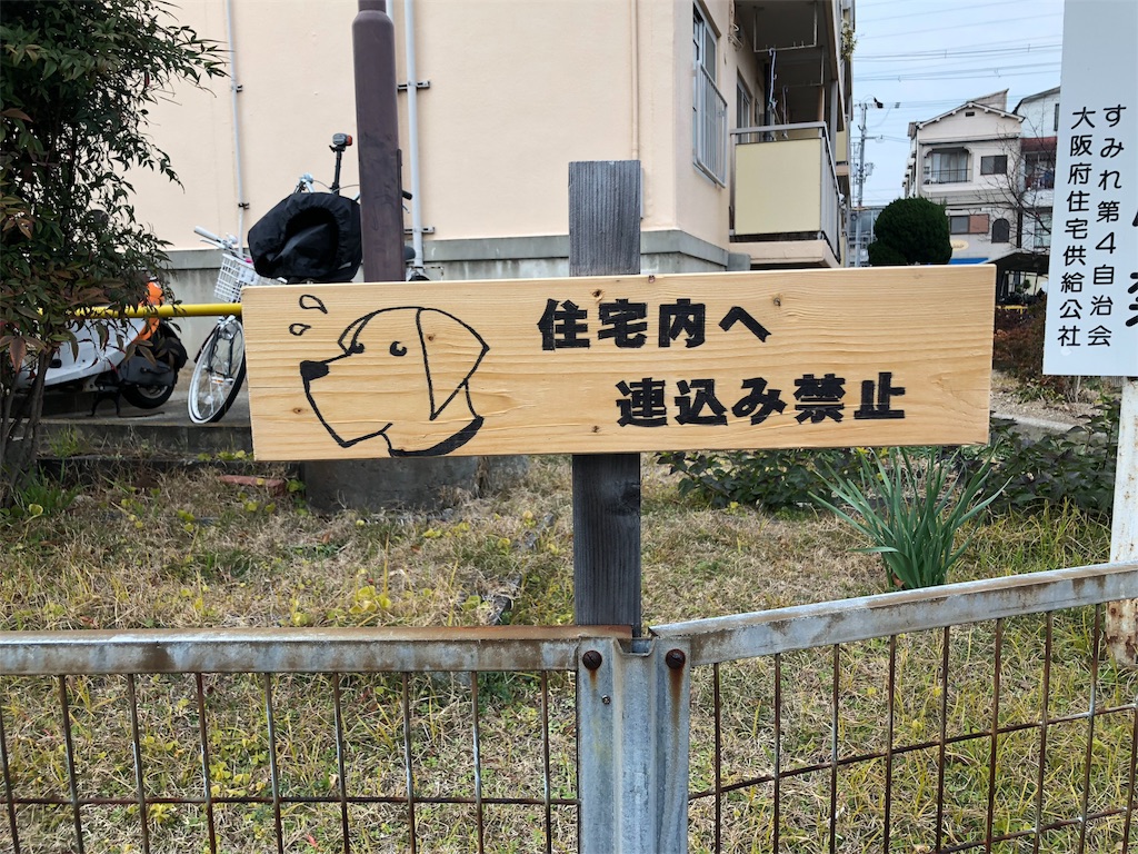 f:id:kamemochi:20200205154529j:image