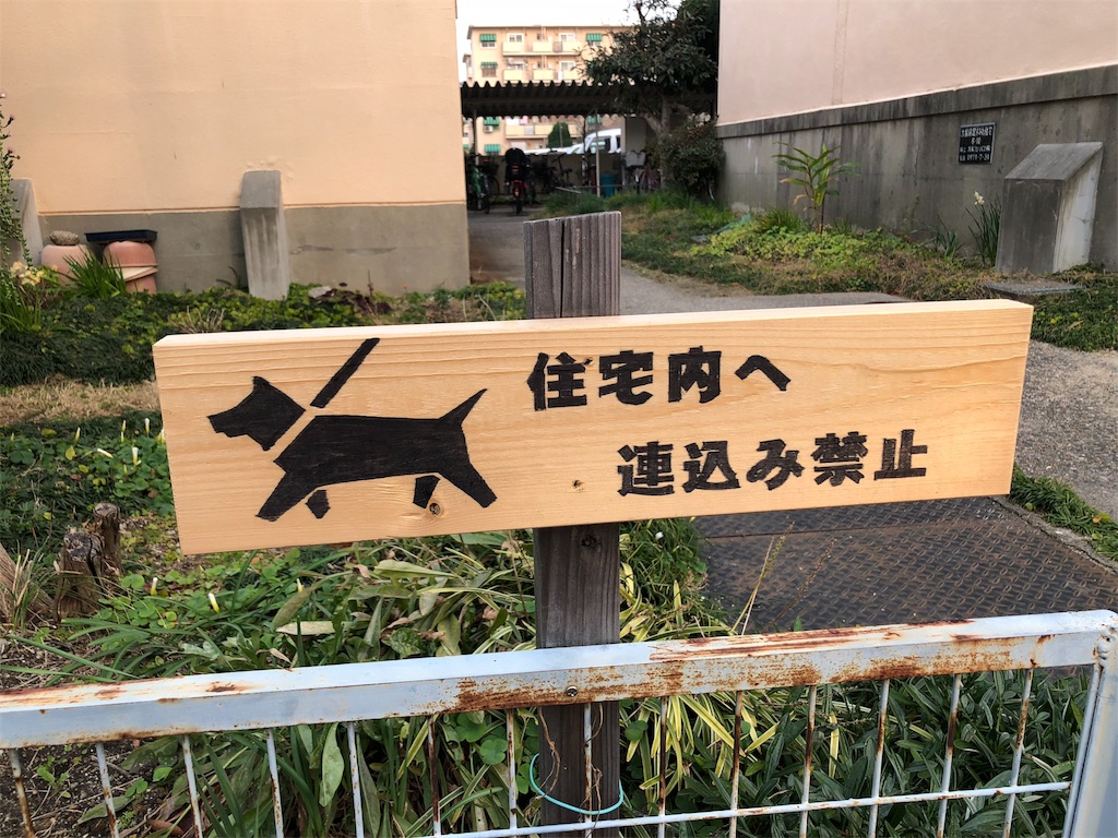 f:id:kamemochi:20200205154533j:image