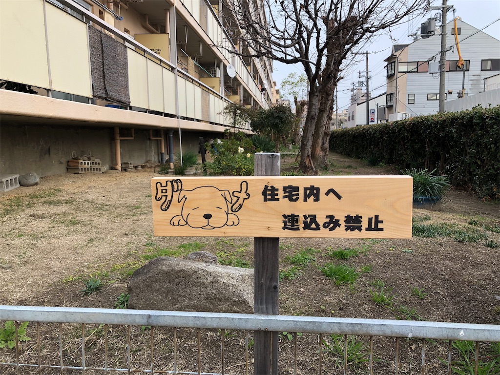 f:id:kamemochi:20200205154537j:image