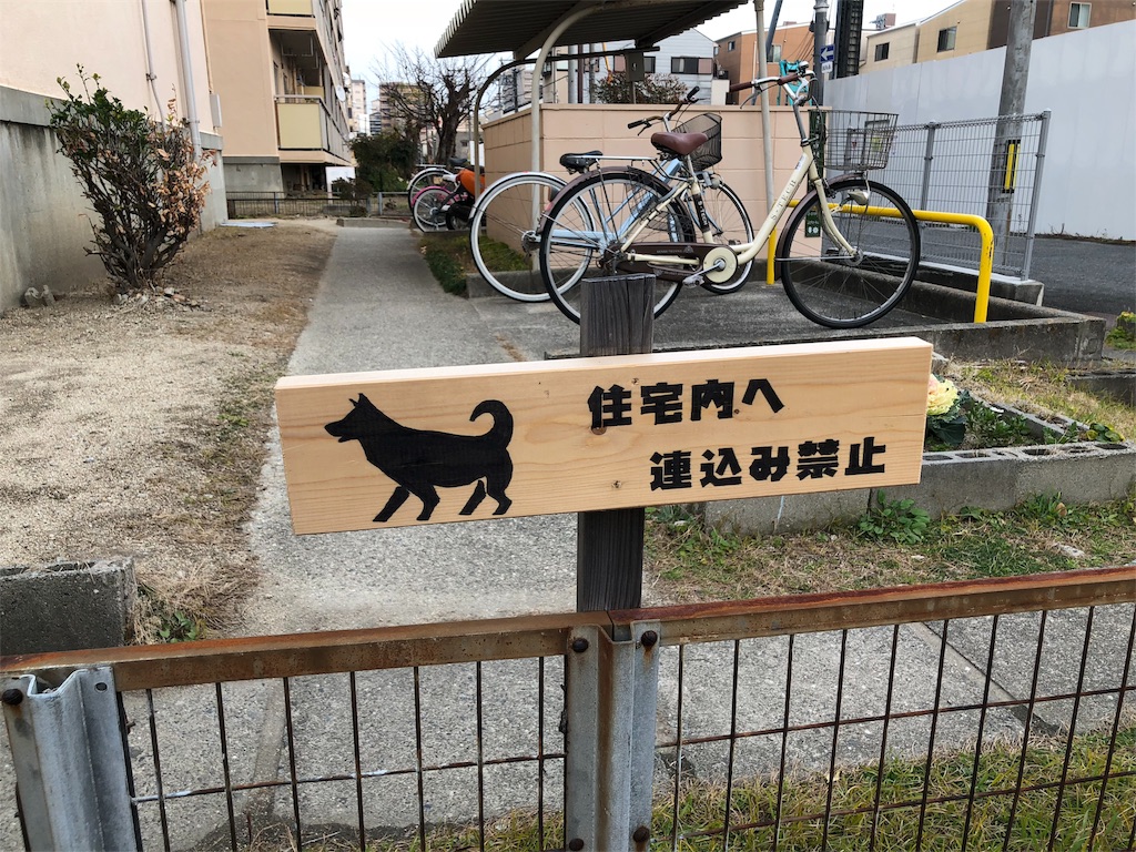 f:id:kamemochi:20200205154541j:image