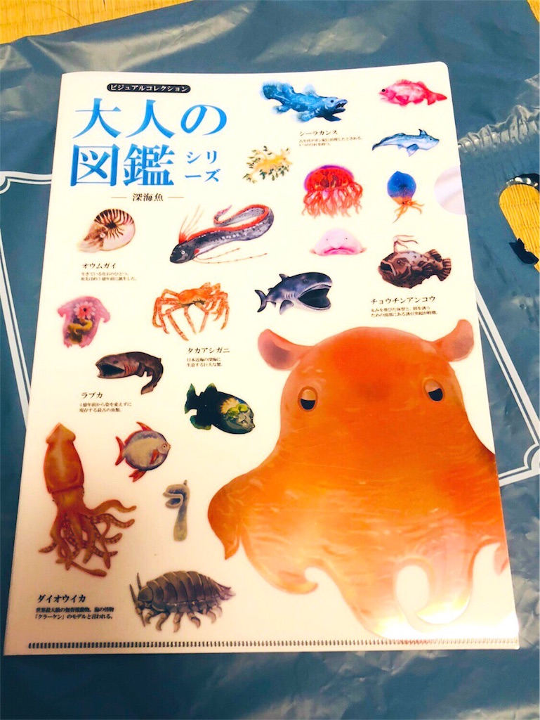 f:id:kamemochi:20200212183420j:image