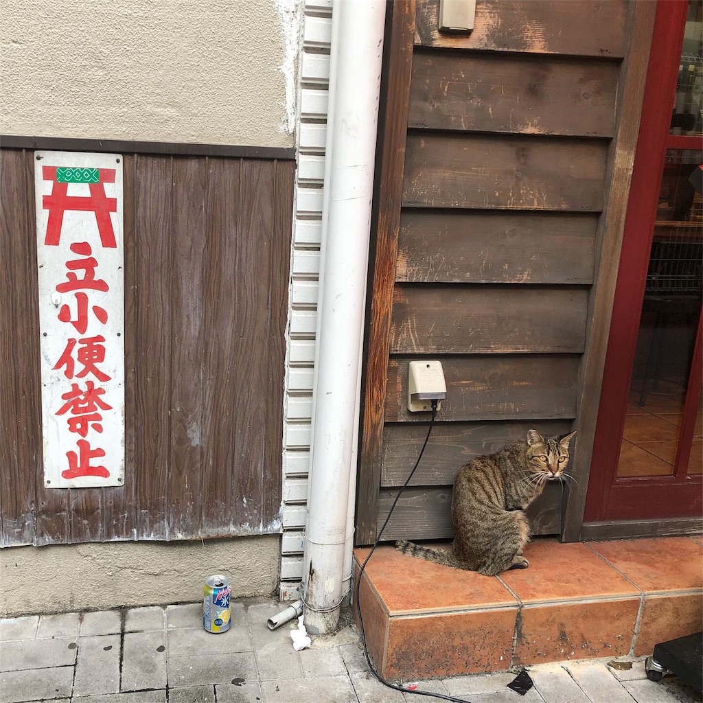 f:id:kamemochi:20200214014216j:image