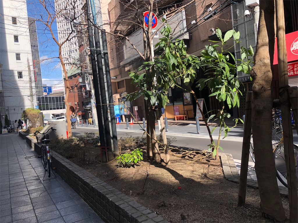 f:id:kamemochi:20200218171131j:image