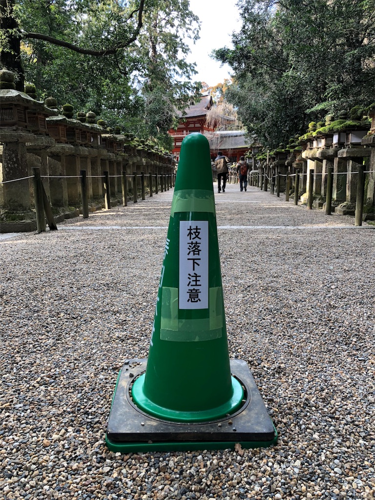 f:id:kamemochi:20200311012318j:image