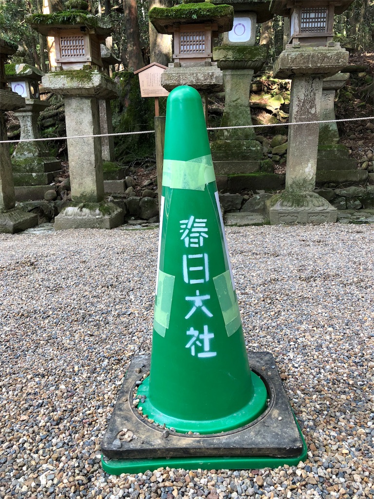 f:id:kamemochi:20200311012321j:image