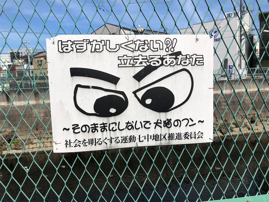 f:id:kamemochi:20200319132501j:image