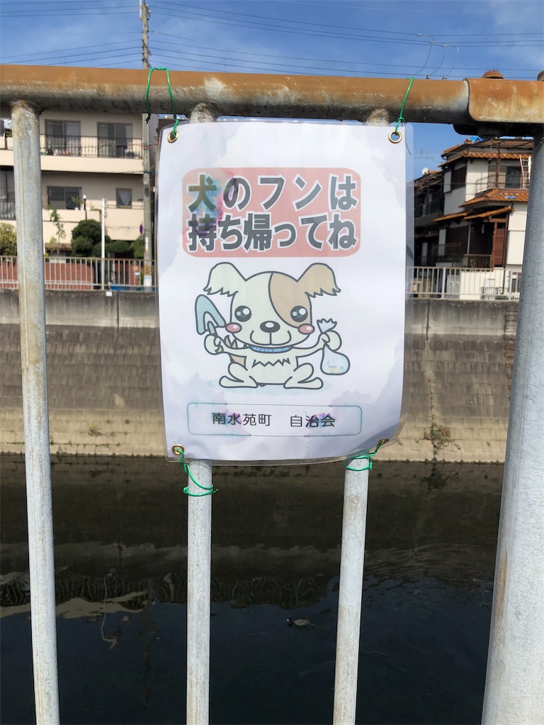 f:id:kamemochi:20200319132610j:image