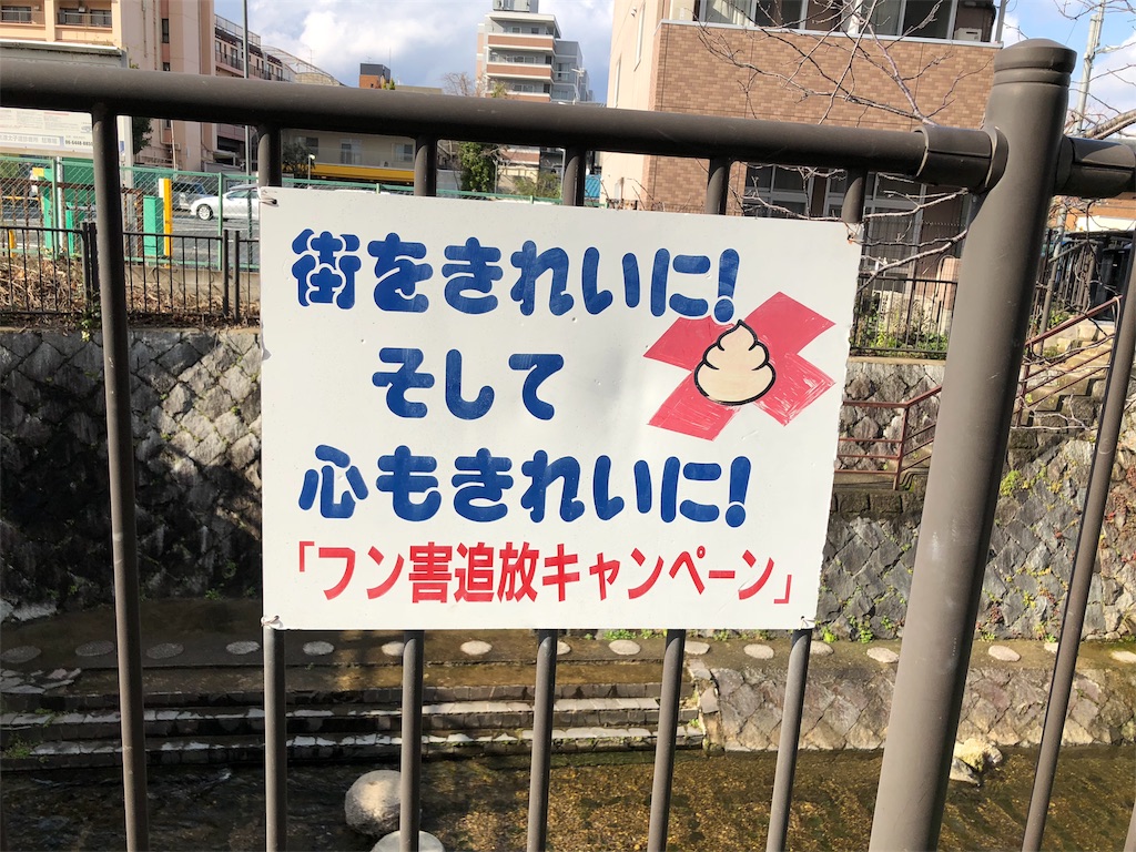 f:id:kamemochi:20200319132723j:image