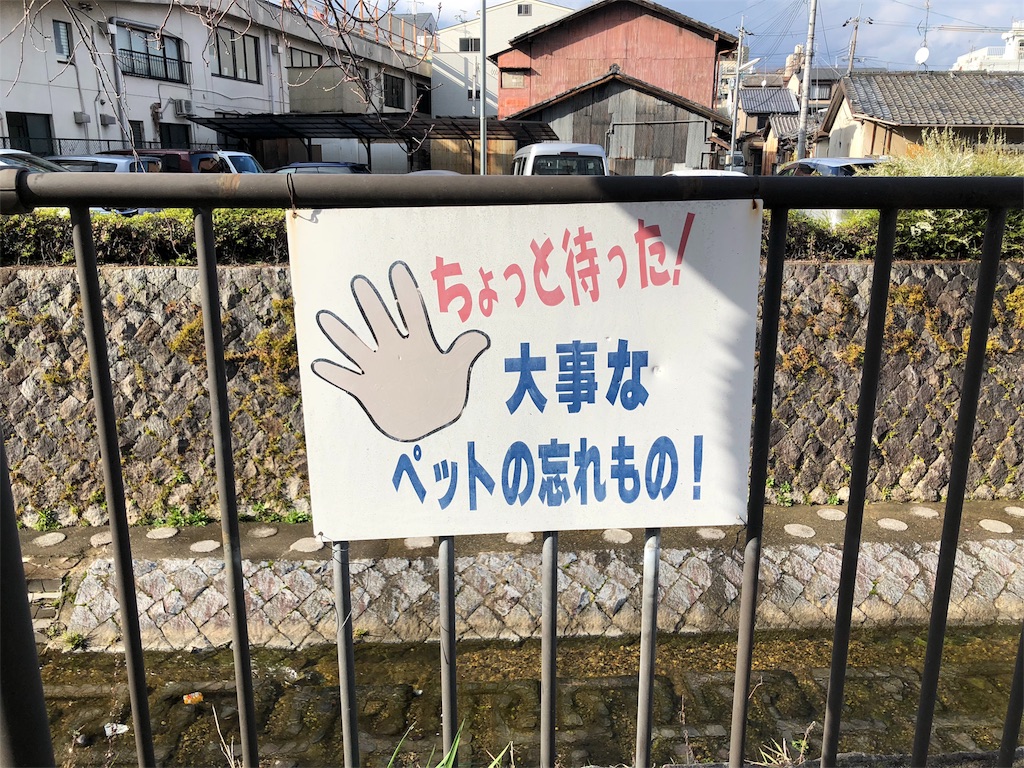 f:id:kamemochi:20200319132727j:image