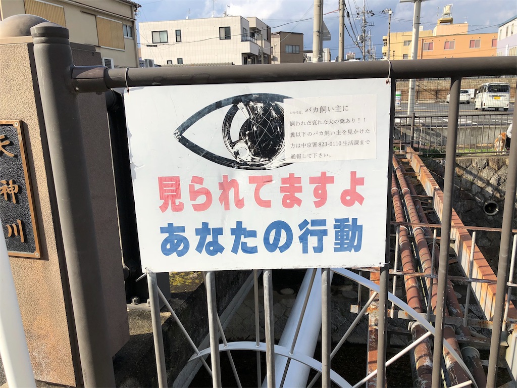 f:id:kamemochi:20200319132811j:image