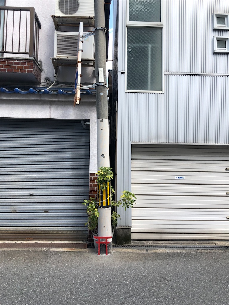 f:id:kamemochi:20200409010948j:image