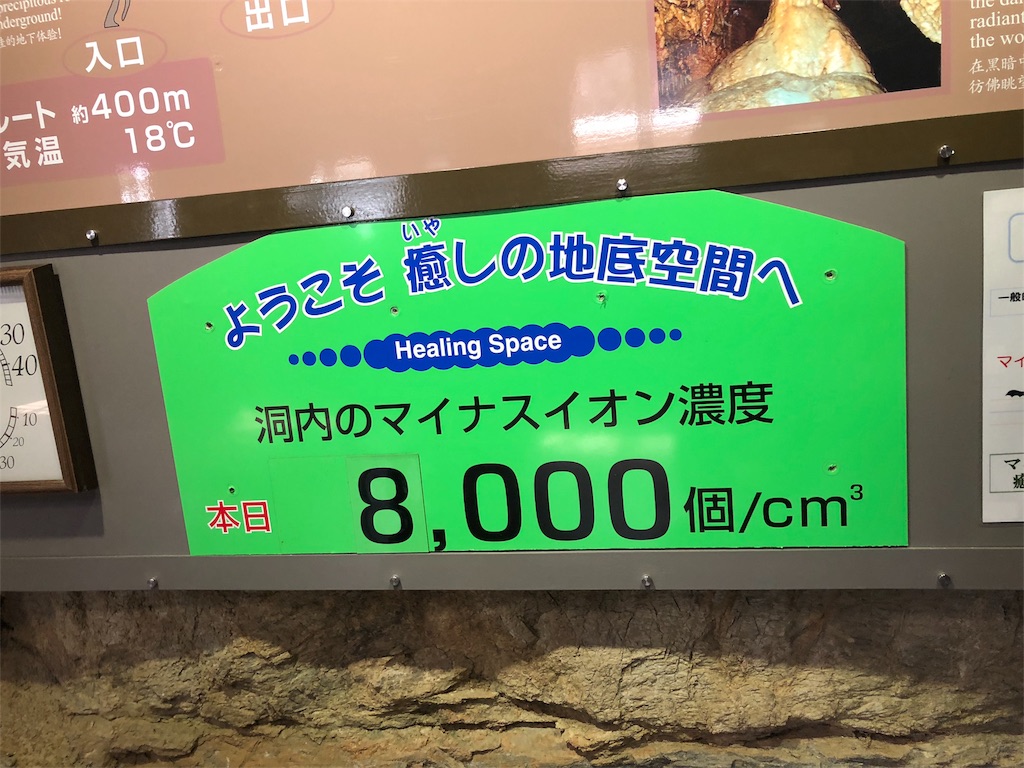 f:id:kamemochi:20200411025737j:image