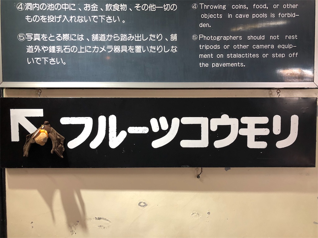 f:id:kamemochi:20200411025741j:image