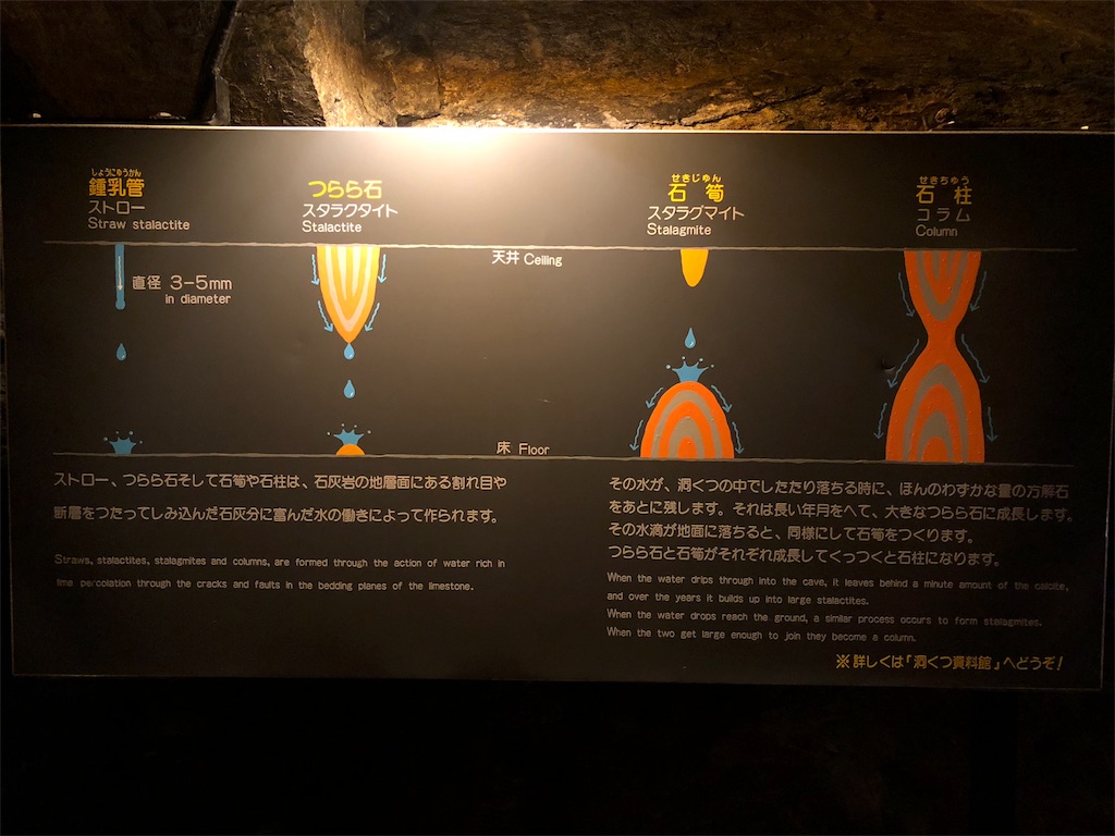 f:id:kamemochi:20200411210728j:plain