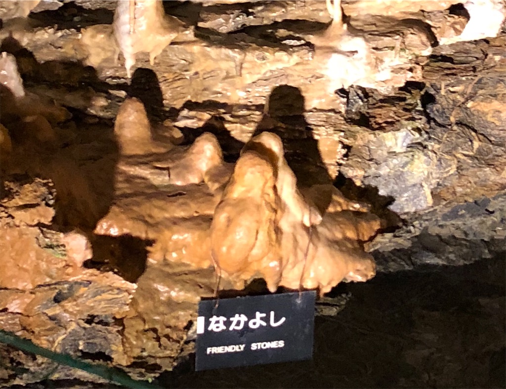 f:id:kamemochi:20200411211508j:plain