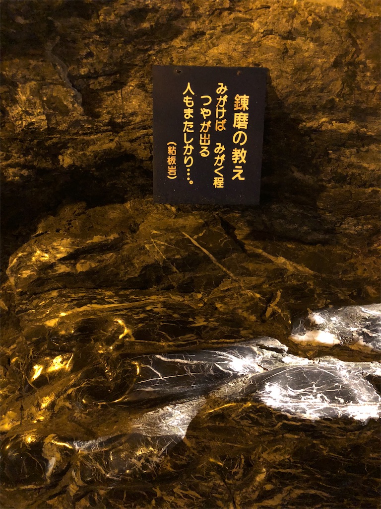 f:id:kamemochi:20200411211511j:plain