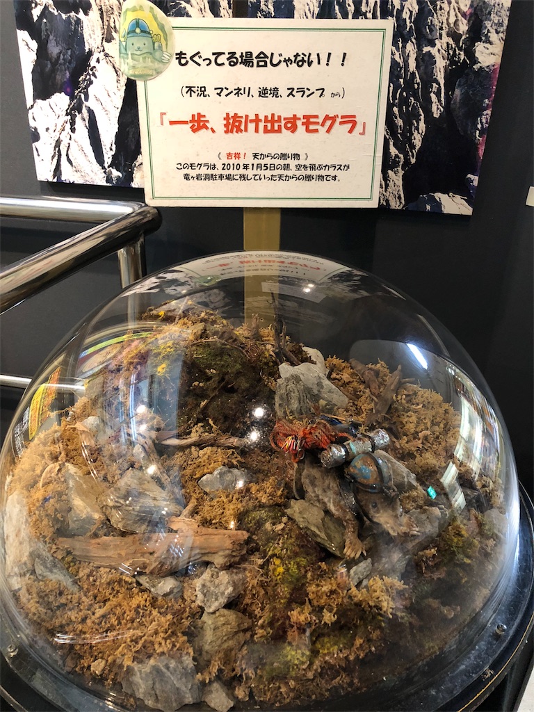 f:id:kamemochi:20200411211519j:plain