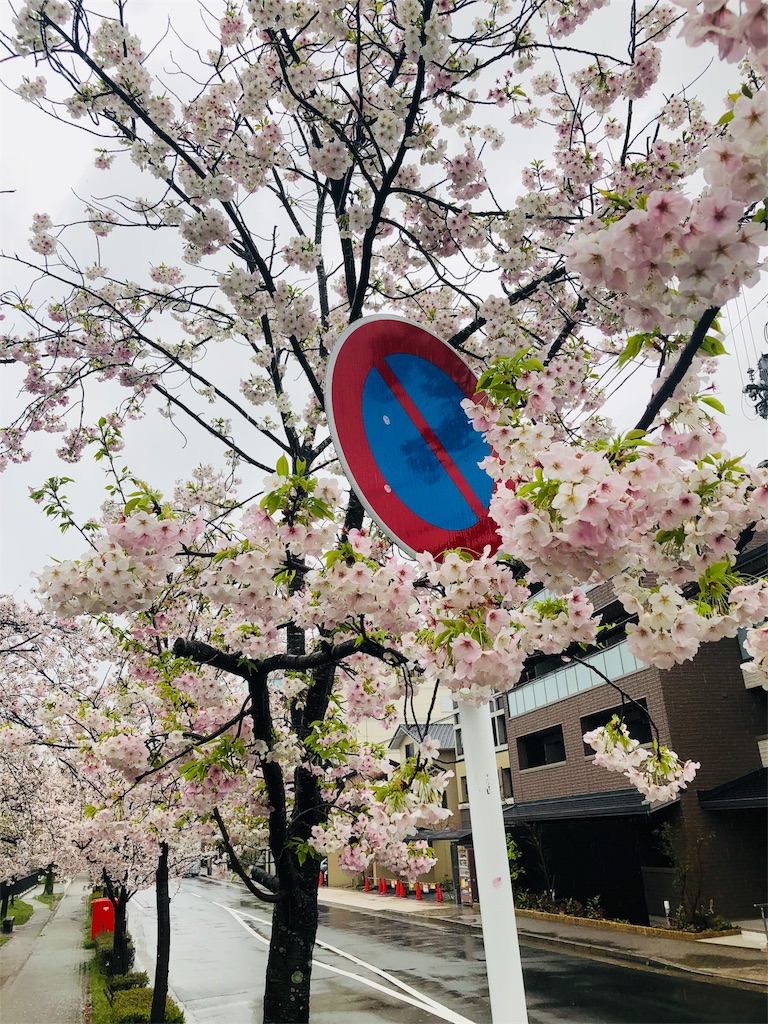 f:id:kamemochi:20200411215934j:image