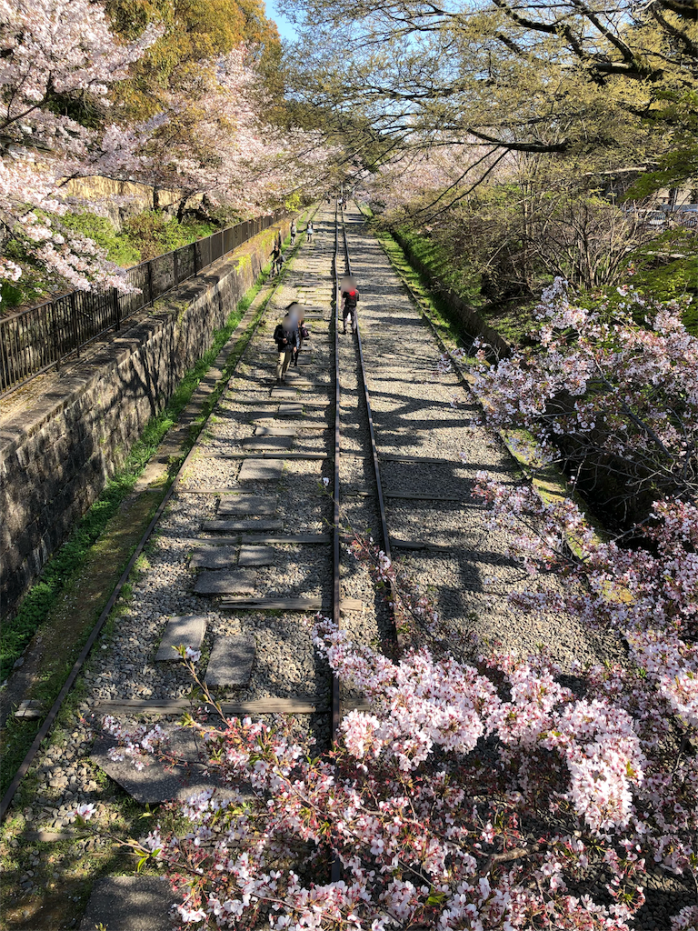 f:id:kamemochi:20200411215946p:image