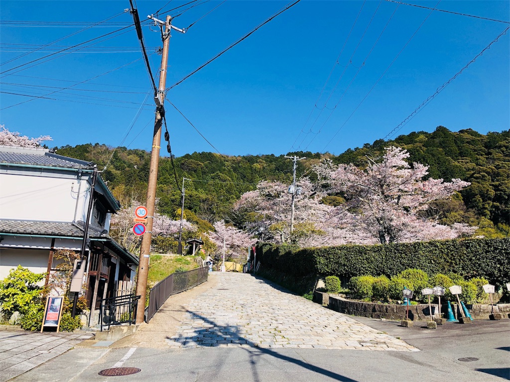 f:id:kamemochi:20200411220315j:image