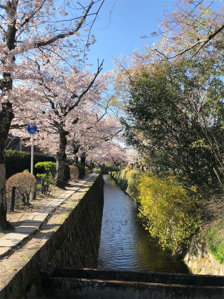 f:id:kamemochi:20200411220435j:image