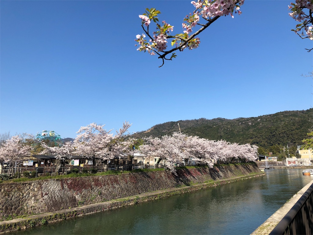 f:id:kamemochi:20200411220440j:image